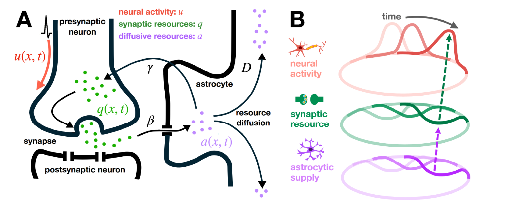 Astrocytic resource diffusion stabilizes persistent activity in neural fields